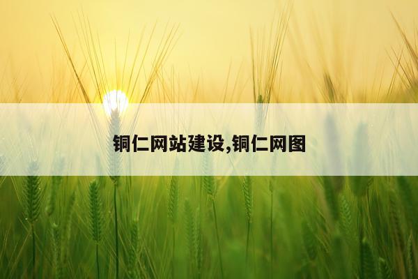铜仁网站建设,铜仁网图