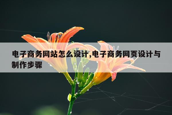 电子商务网站怎么设计,电子商务网页设计与制作步骤
