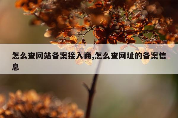 怎么查网站备案接入商,怎么查网址的备案信息