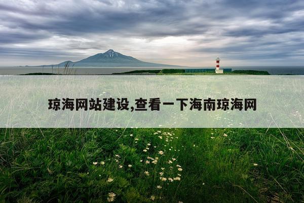 琼海网站建设,查看一下海南琼海网