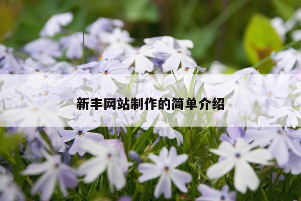新丰网站制作的简单介绍