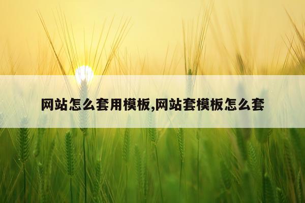 网站怎么套用模板,网站套模板怎么套
