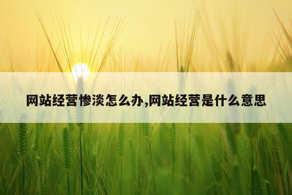 网站经营惨淡怎么办,网站经营是什么意思