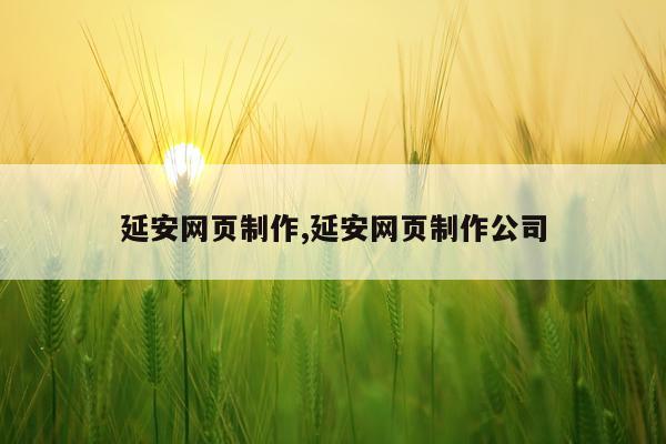 延安网页制作,延安网页制作公司