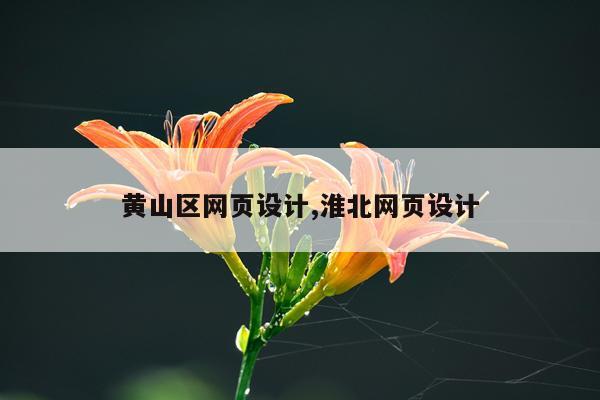 黄山区网页设计,淮北网页设计