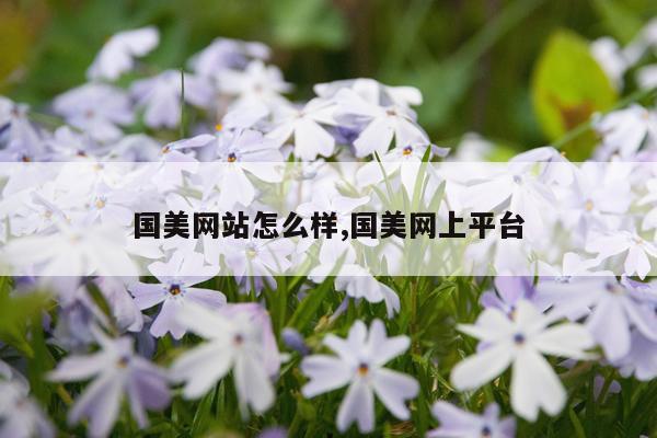 国美网站怎么样,国美网上平台
