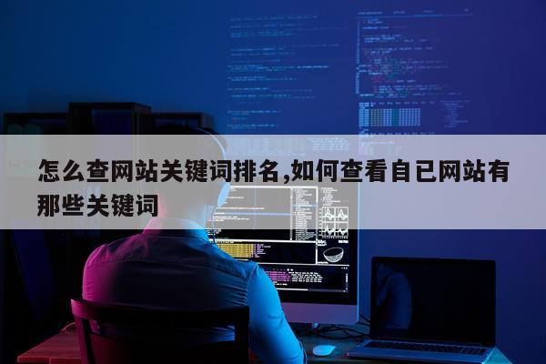怎么查网站关键词排名,如何查看自已网站有那些关键词