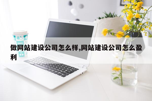 做网站建设公司怎么样,网站建设公司怎么盈利