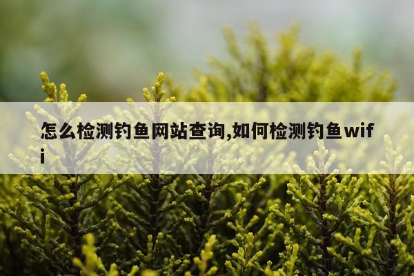 怎么检测钓鱼网站查询,如何检测钓鱼wifi