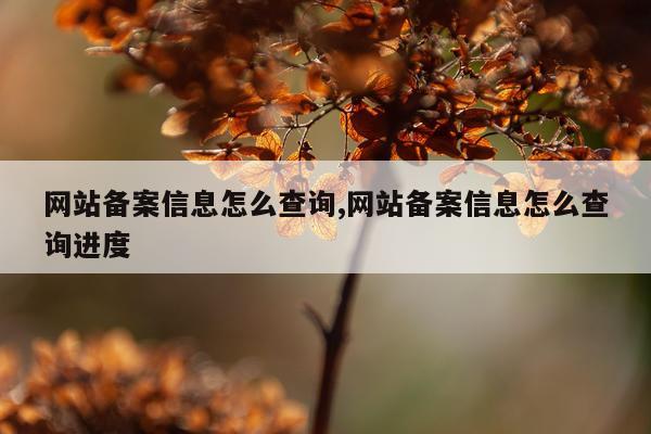 网站备案信息怎么查询,网站备案信息怎么查询进度