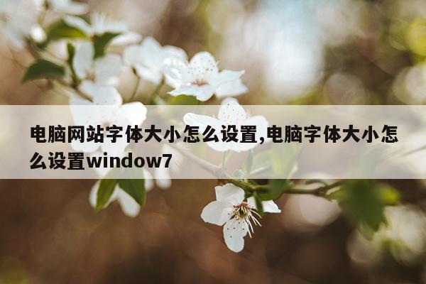 电脑网站字体大小怎么设置,电脑字体大小怎么设置window7