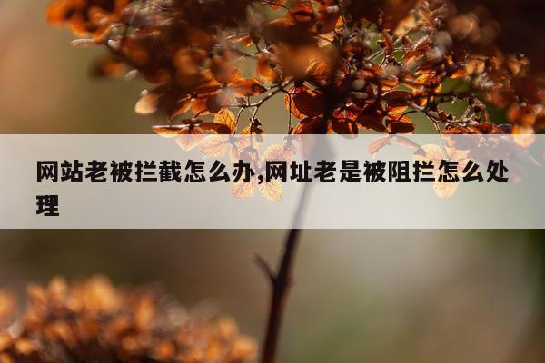 网站老被拦截怎么办,网址老是被阻拦怎么处理