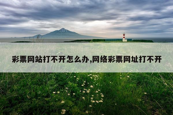 彩票网站打不开怎么办,网络彩票网址打不开