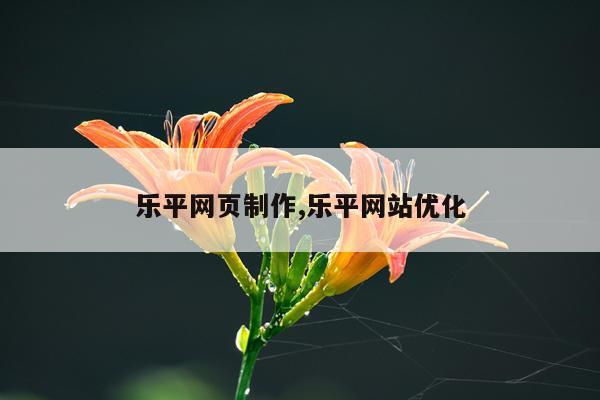 乐平网页制作,乐平网站优化