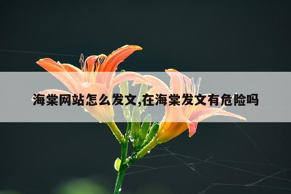 海棠网站怎么发文,在海棠发文有危险吗