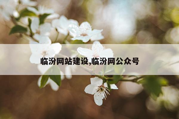 临汾网站建设,临汾网公众号