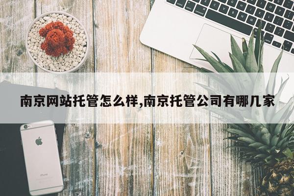 南京网站托管怎么样,南京托管公司有哪几家