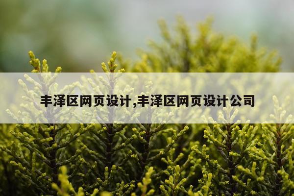 丰泽区网页设计,丰泽区网页设计公司