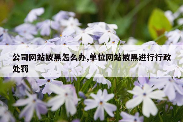 公司网站被黑怎么办,单位网站被黑进行行政处罚
