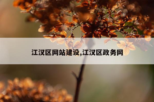江汉区网站建设,江汉区政务网