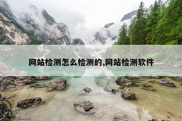 网站检测怎么检测的,网站检测软件