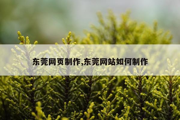 东莞网页制作,东莞网站如何制作