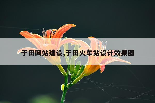 于田网站建设,于田火车站设计效果图