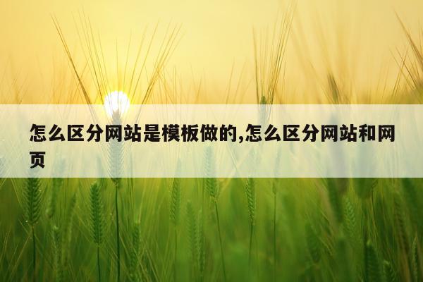 怎么区分网站是模板做的,怎么区分网站和网页