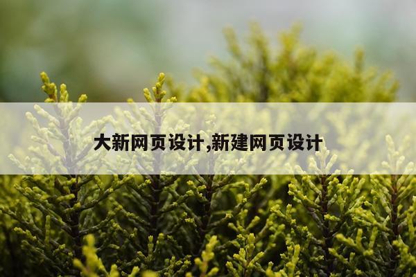 大新网页设计,新建网页设计