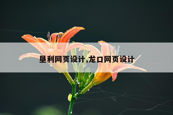 垦利网页设计,龙口网页设计