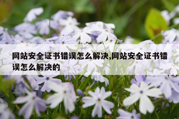 网站安全证书错误怎么解决,网站安全证书错误怎么解决的