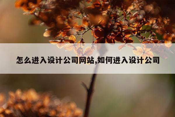 怎么进入设计公司网站,如何进入设计公司