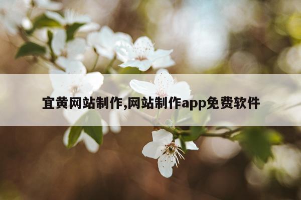 宜黄网站制作,网站制作app免费软件