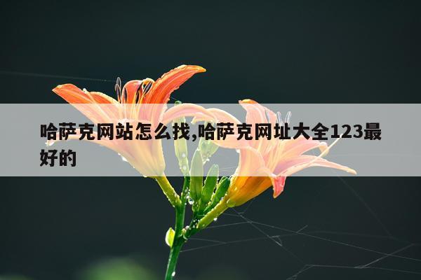 哈萨克网站怎么找,哈萨克网址大全123最好的