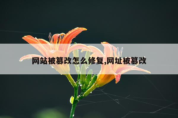 网站被篡改怎么修复,网址被篡改