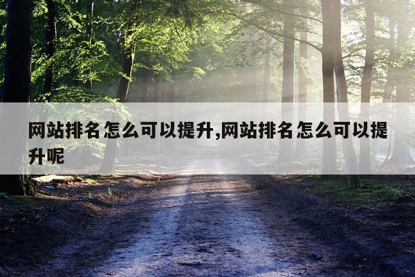 网站排名怎么可以提升,网站排名怎么可以提升呢