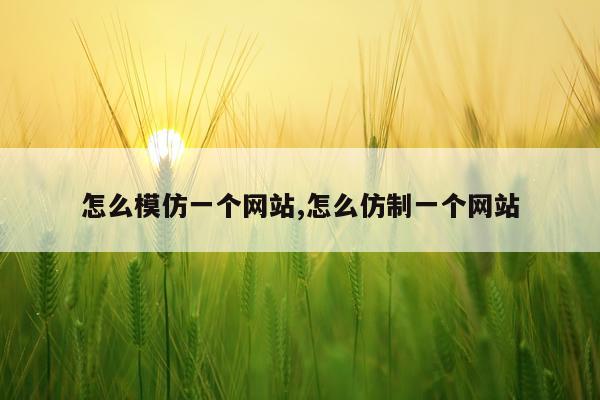 怎么模仿一个网站,怎么仿制一个网站