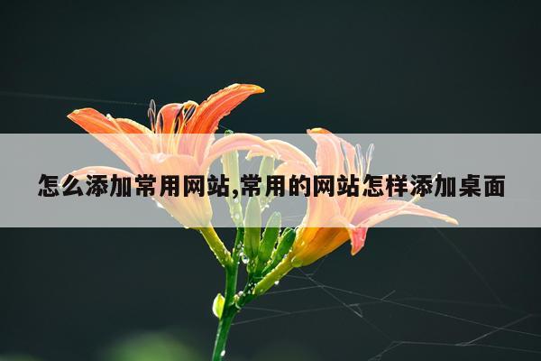 怎么添加常用网站,常用的网站怎样添加桌面