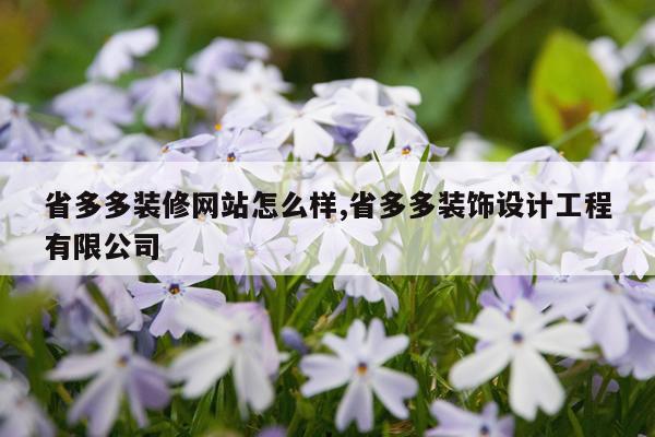 省多多装修网站怎么样,省多多装饰设计工程有限公司