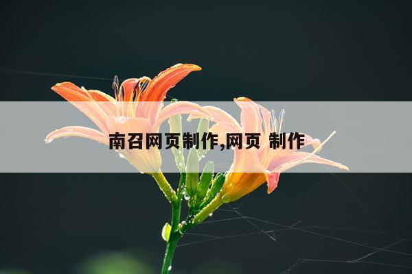 南召网页制作,网页 制作