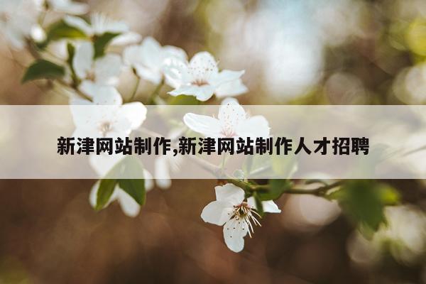 新津网站制作,新津网站制作人才招聘