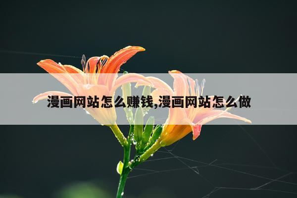 漫画网站怎么赚钱,漫画网站怎么做