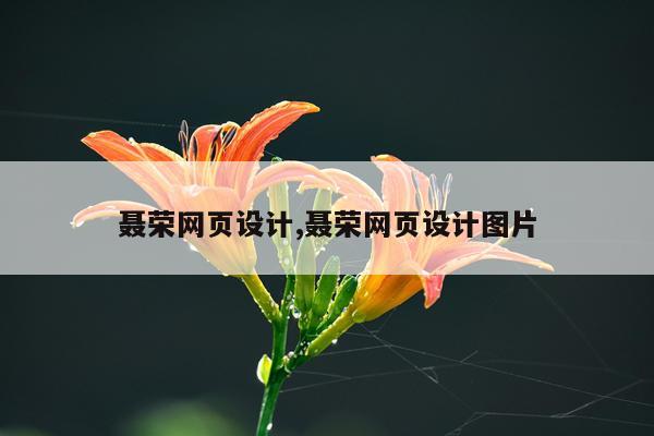 聂荣网页设计,聂荣网页设计图片