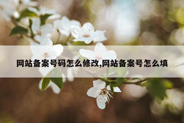 网站备案号码怎么修改,网站备案号怎么填