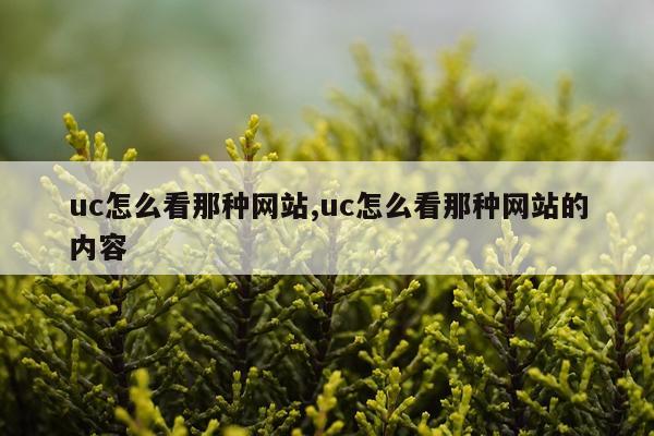 uc怎么看那种网站,uc怎么看那种网站的内容