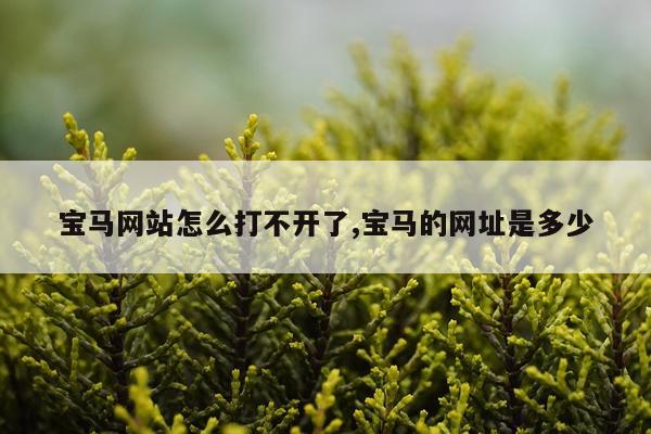 宝马网站怎么打不开了,宝马的网址是多少