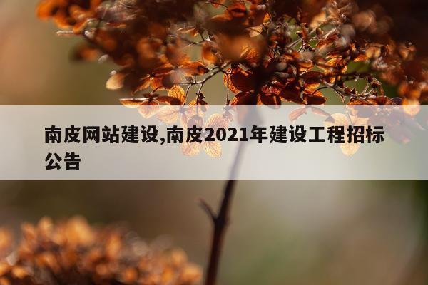 南皮网站建设,南皮2021年建设工程招标公告