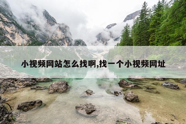 小视频网站怎么找啊,找一个小视频网址