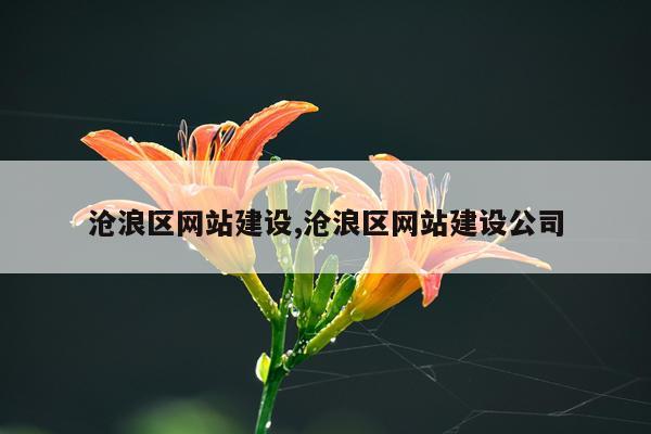 沧浪区网站建设,沧浪区网站建设公司