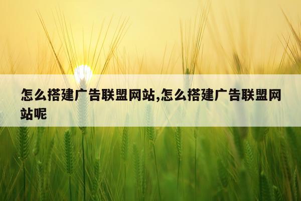 怎么搭建广告联盟网站,怎么搭建广告联盟网站呢